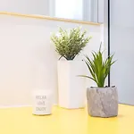 Happy